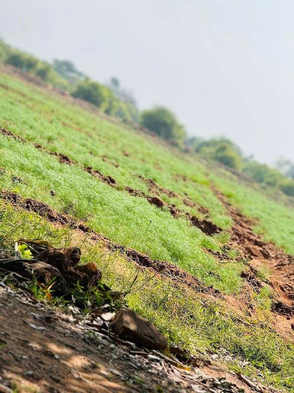 Aaruni farm nathabhai dodiya bunglow - Image 1