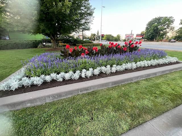 Memorial Park - Image 2