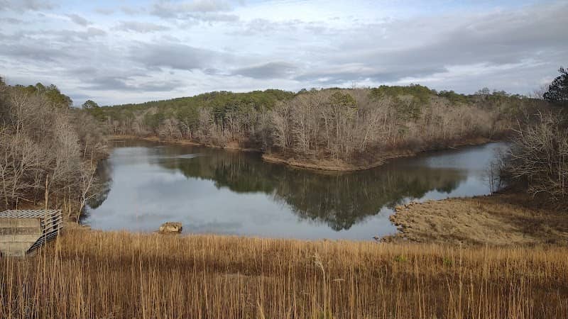 Greenleaf watershed - Image 2