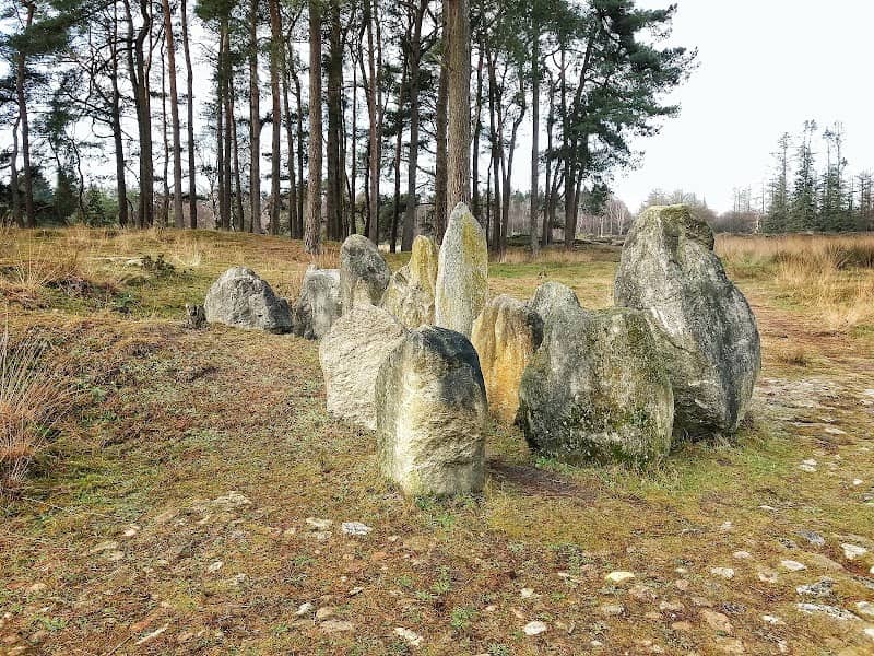 Evertsbos / Boswachterij Anloo - Image 1