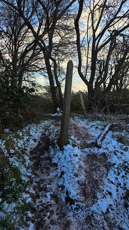Sharp Hill Wood - The Very Useful Post - Image 1