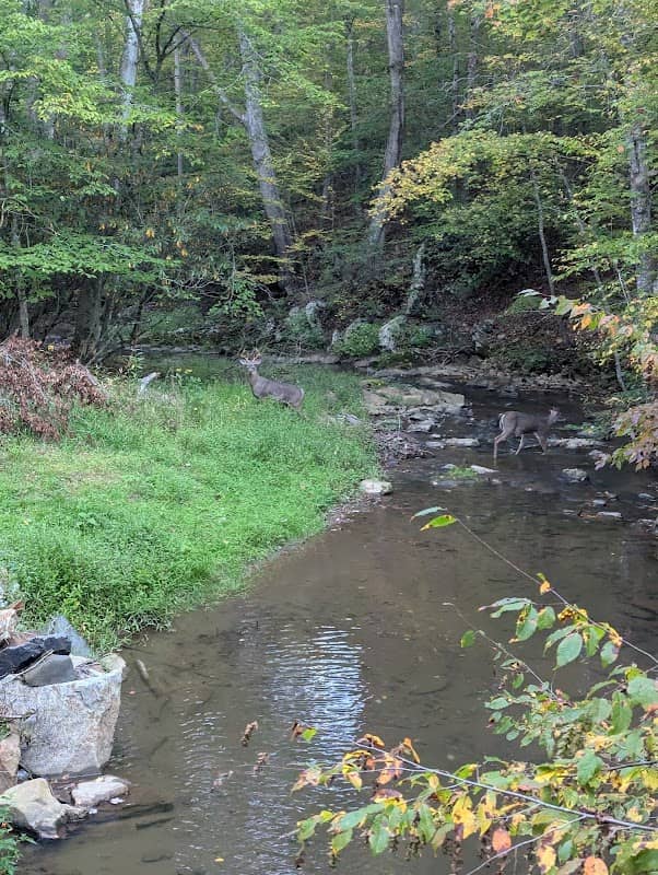 Beaver Dam Creek Hiking Trail - Image 1