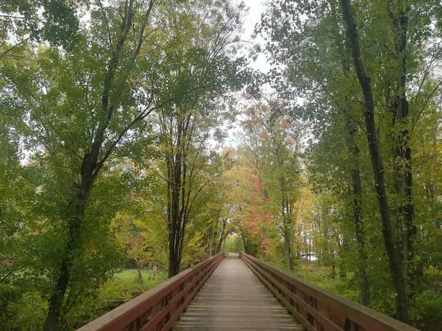 Rapides-Deschênes Park - Image 2