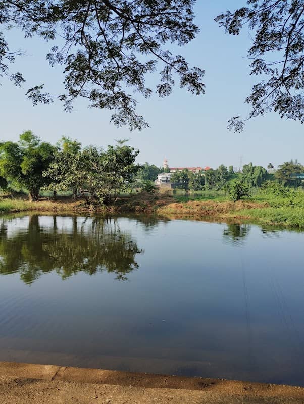 Chowara Ferry park - Image 1