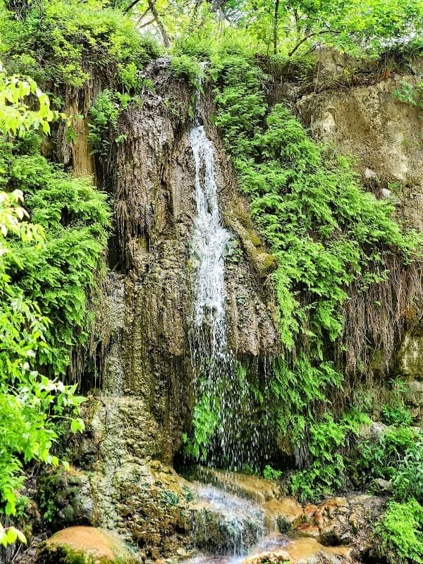 Krause Springs - Image 3