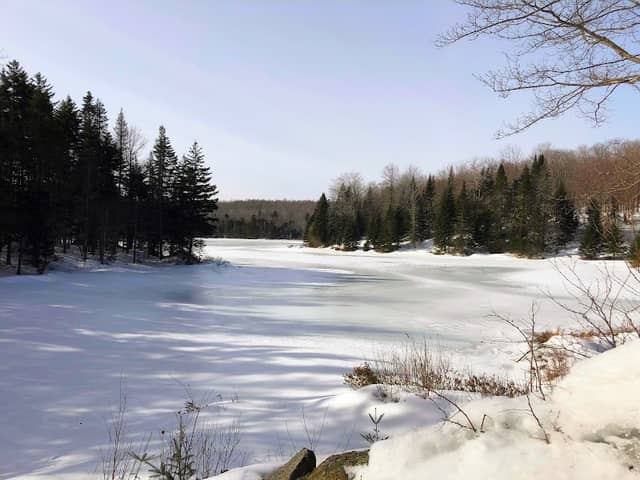 Green Woodlands Foundation - Image 2