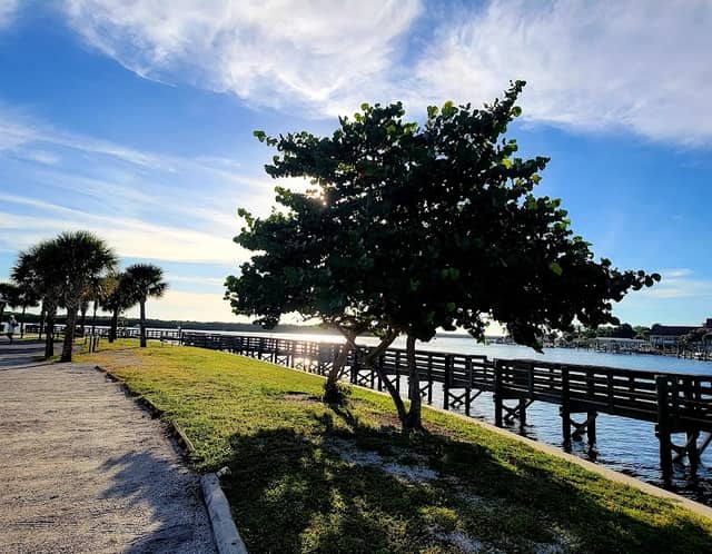 Chadwick Park Fishing Pier - Image 1