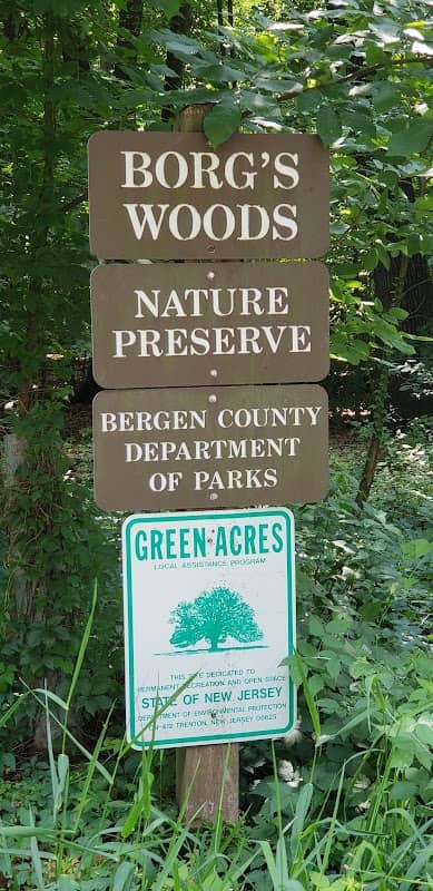 Borg's Woods Nature Preserve - Image 2