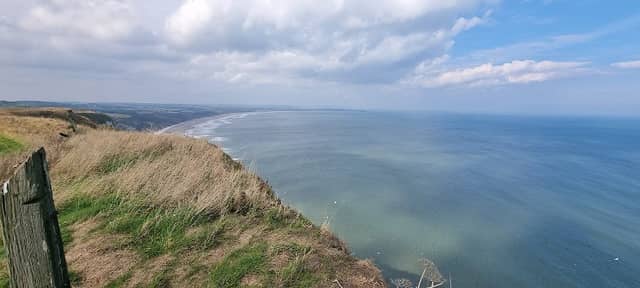 Scenic View - Image 1