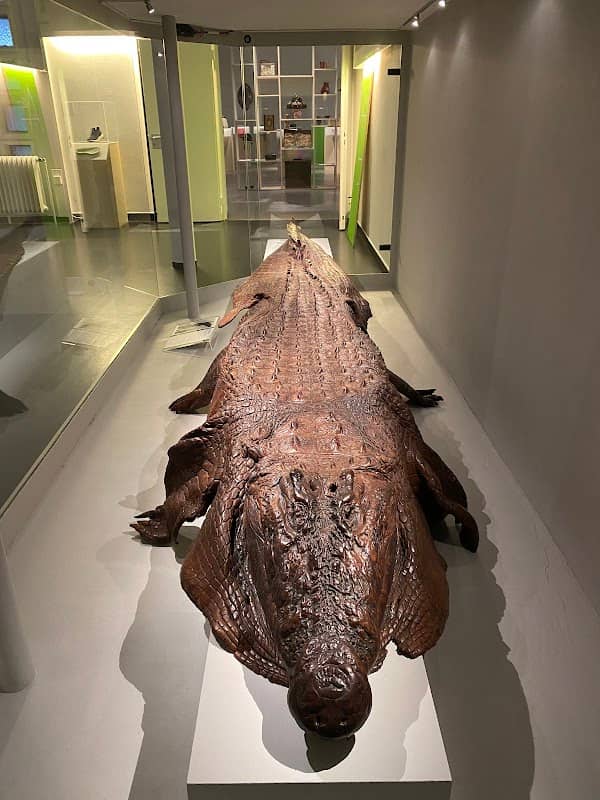 German Leather Museum - Image 1