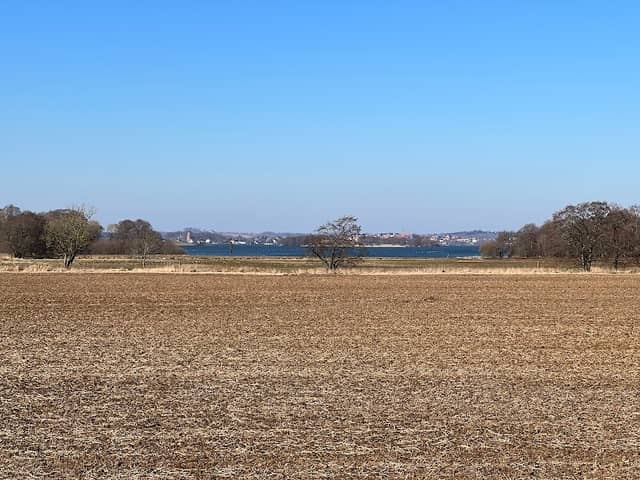 Genforeningssten i Ringkloster - Image 1