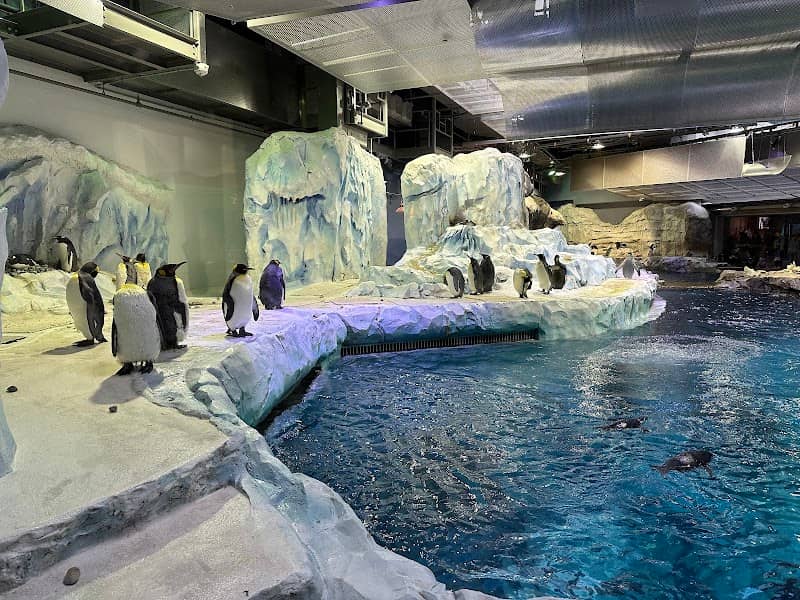 Polk Penguin Conservation Center - Image 2