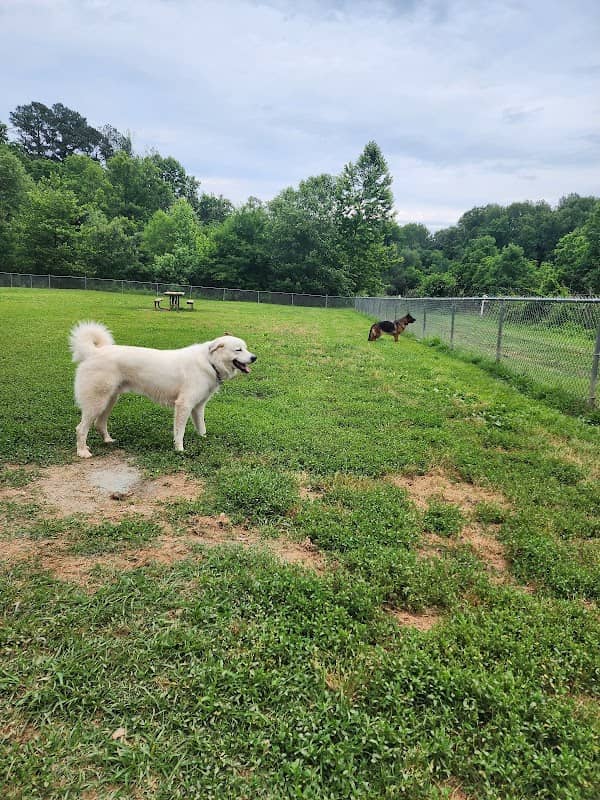 Azalea Park Dog Park - Image 1