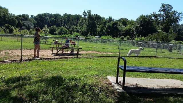 Azalea Park Dog Park - Image 2