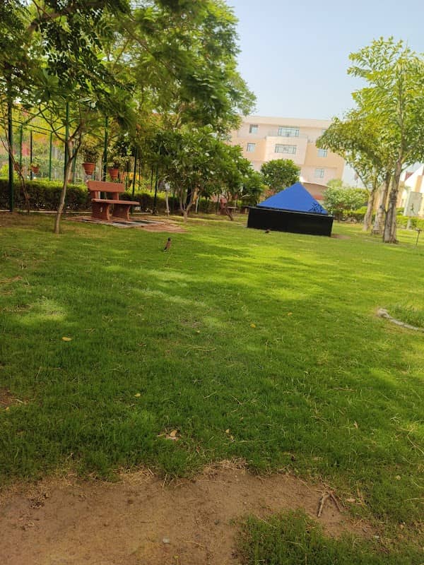 CSHS Park - Image 1