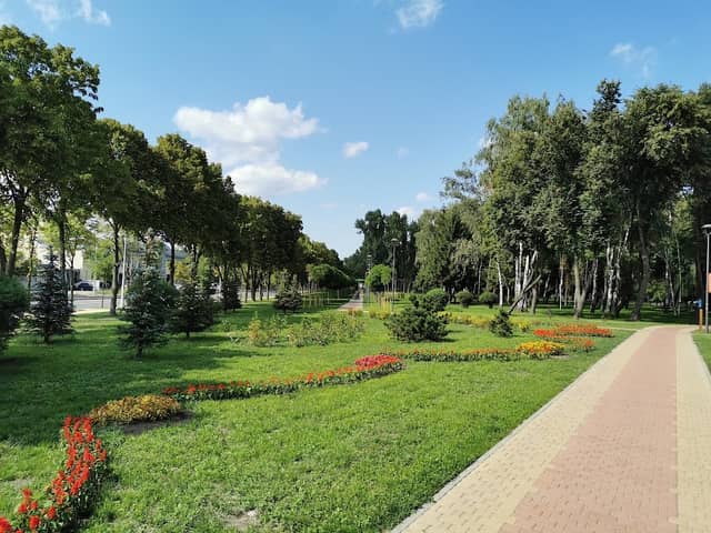 Park Veselka - Image 2