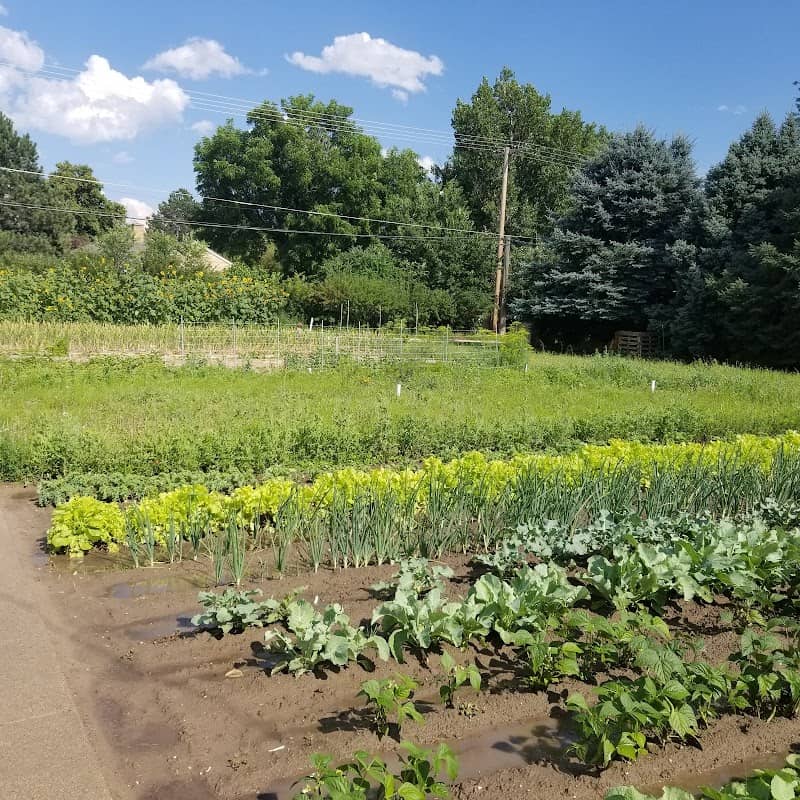 Torrington Community Garden - Image 1