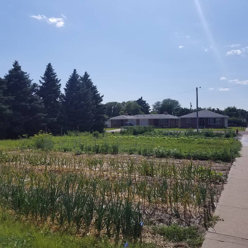 Torrington Community Garden - Image 2