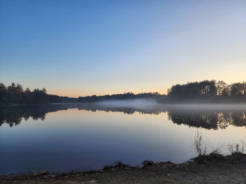 Forest Lake Wildlife Management Area - Image 1