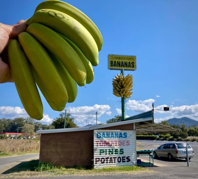 The Big Bunch of Bananas - Image 1
