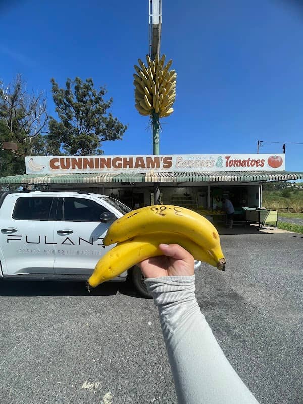 The Big Bunch of Bananas - Image 2