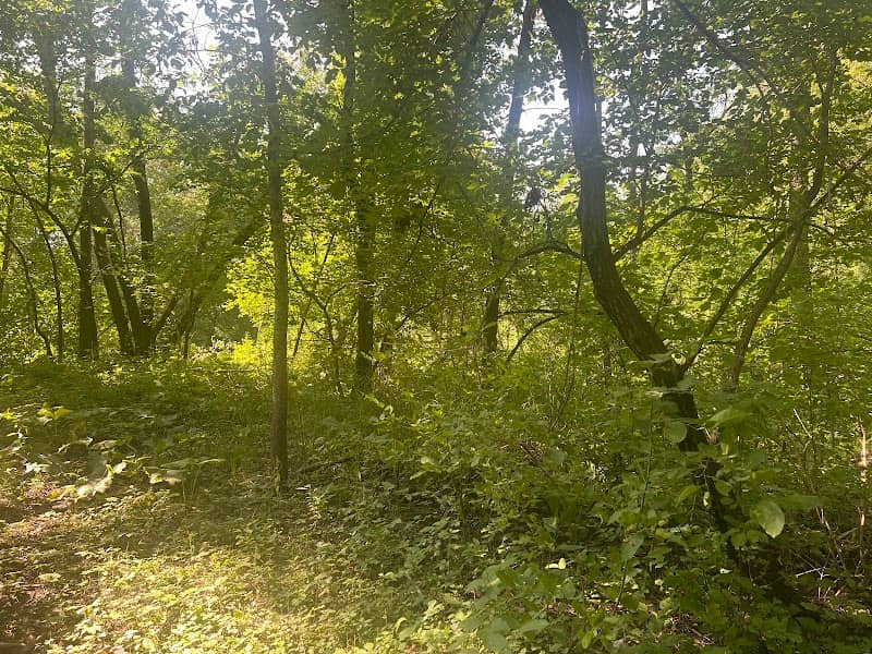 Livingston Nature Park - Image 2