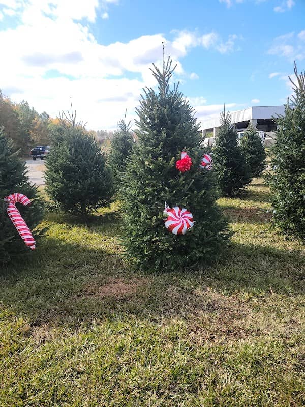 Christmas tree - Image 1