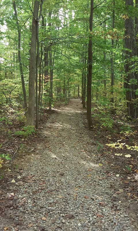 Seneca Ponds - Image 1