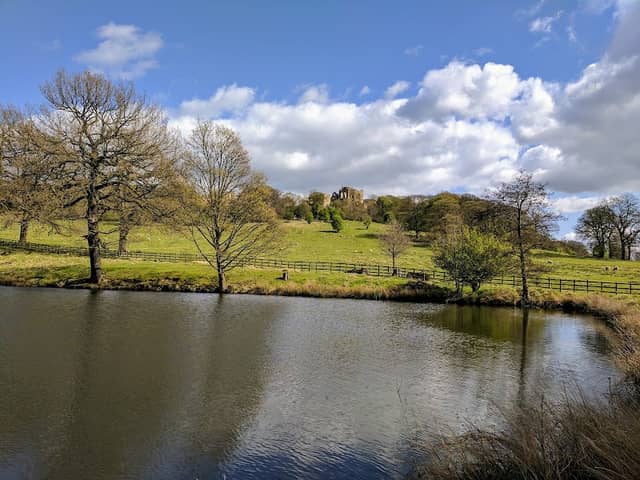 Great Pond - Image 2