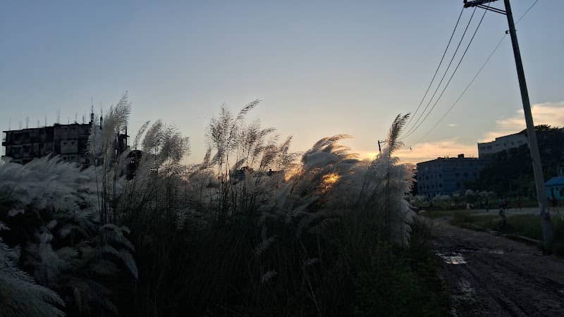 বালুচর টাকসুর - Image 1