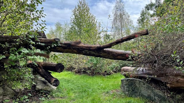 Totholzgarten - Image 1