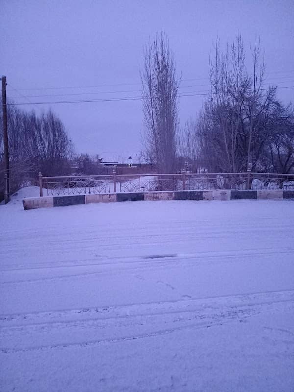 Xo‘jamuratov Alisher - Image 1