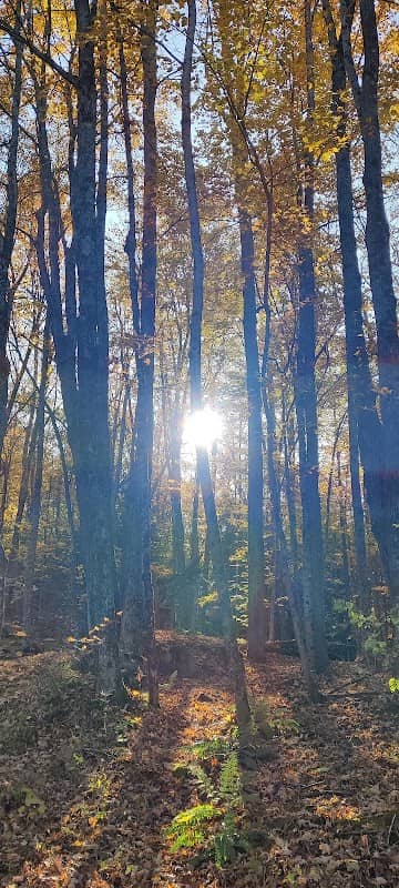 Mount Pisgah MTB Trails - Image 1