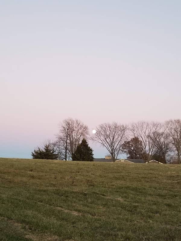 Longview Park - Image 2