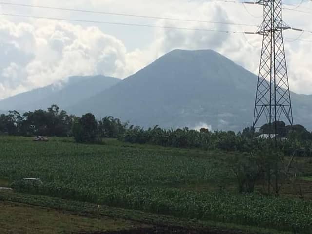 KEBUN JAGUNG WAWO - Image 2