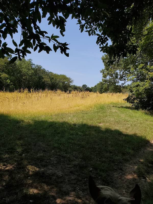 Weinberg-King State Fish and Wildlife Area - Image 1