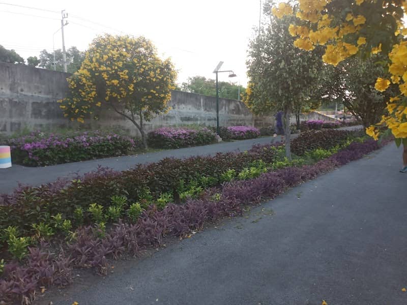 Park and running track - Image 1