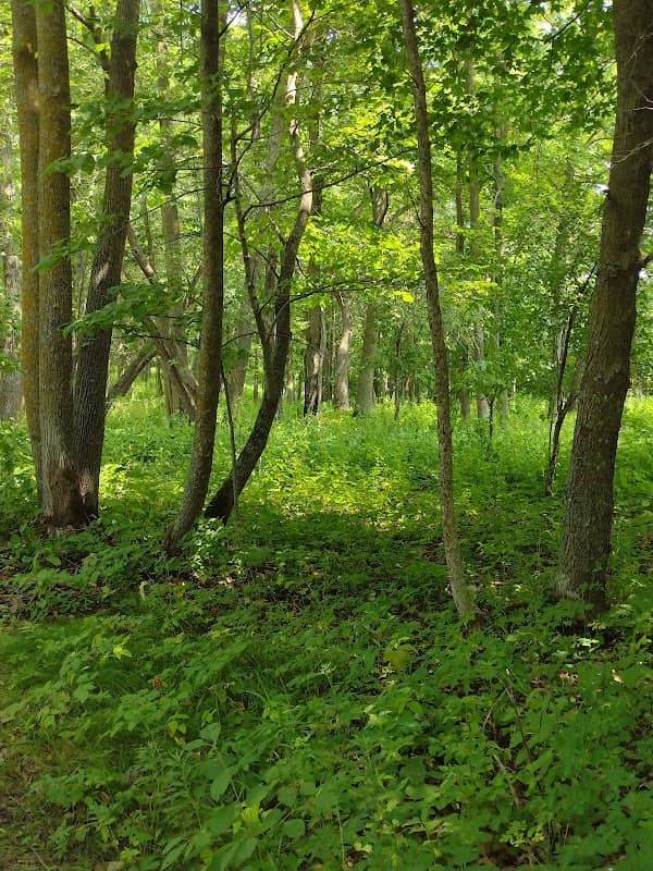 Kathio State Park - Image 2