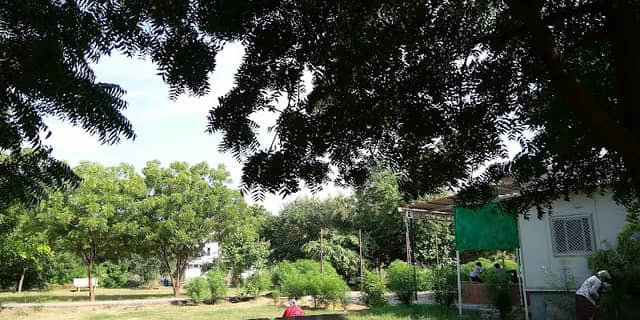 Jain Temple Mahal Yojana Park - Image 1