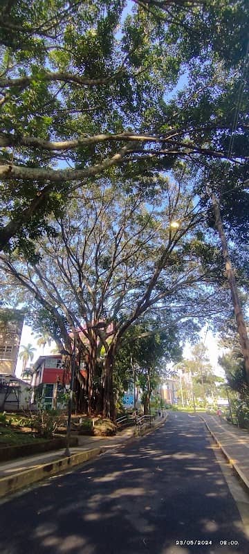 Paso Hermoso - Image 1