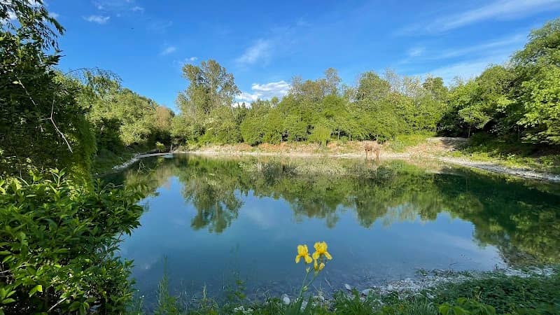 ISOLADIVETRO - Image 1