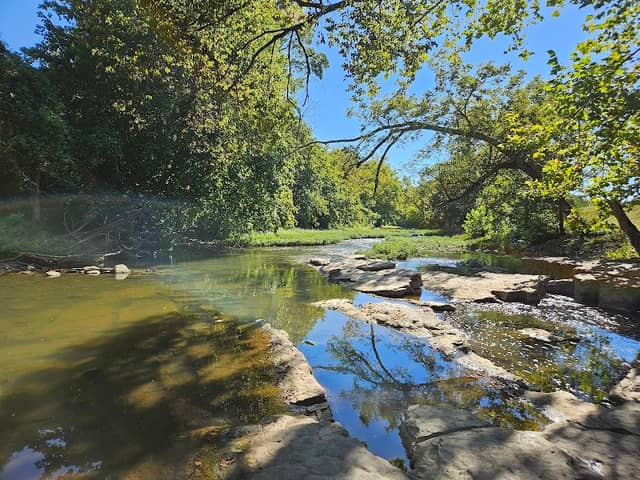 Chief Richard Taylor Nature Trail - Image 2