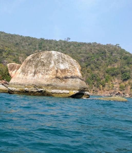 DHANASHRI BOAT TRIP'S - Image 1