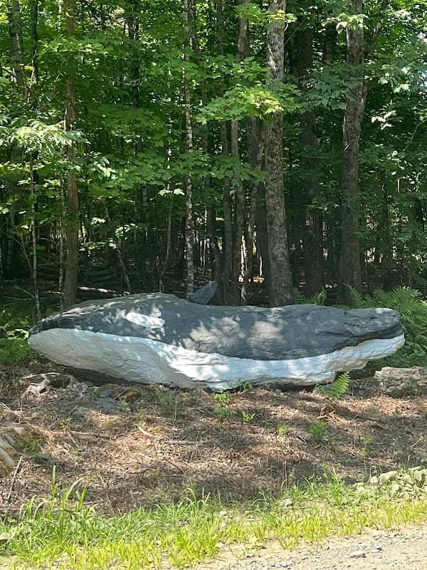 Orca Rock - Image 1