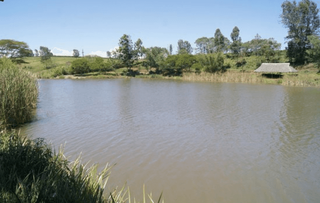Evergreen Park - Image 1