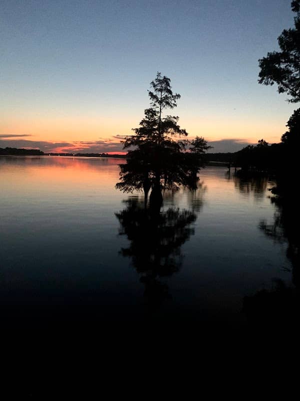Pangburn Park - Image 1