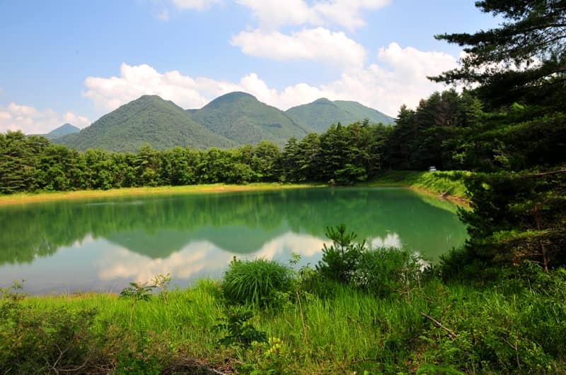 南原ため池(堤) - Image 1