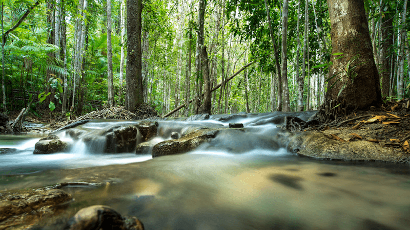 Champaign County Forest Preserves - Image 1