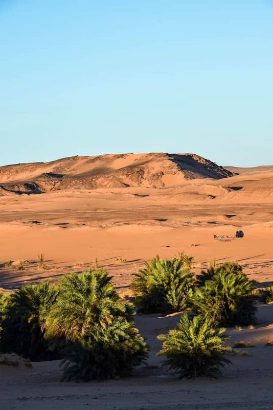 عين الشبي رڨان - Image 2