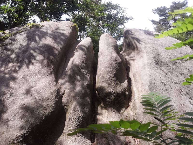 Yeogeunseog - Image 1